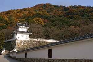 Tatsuno Castle